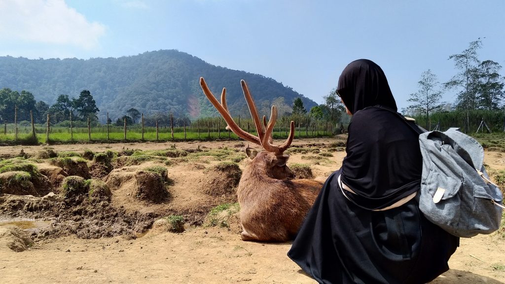 travel galau travel blogger indonesia