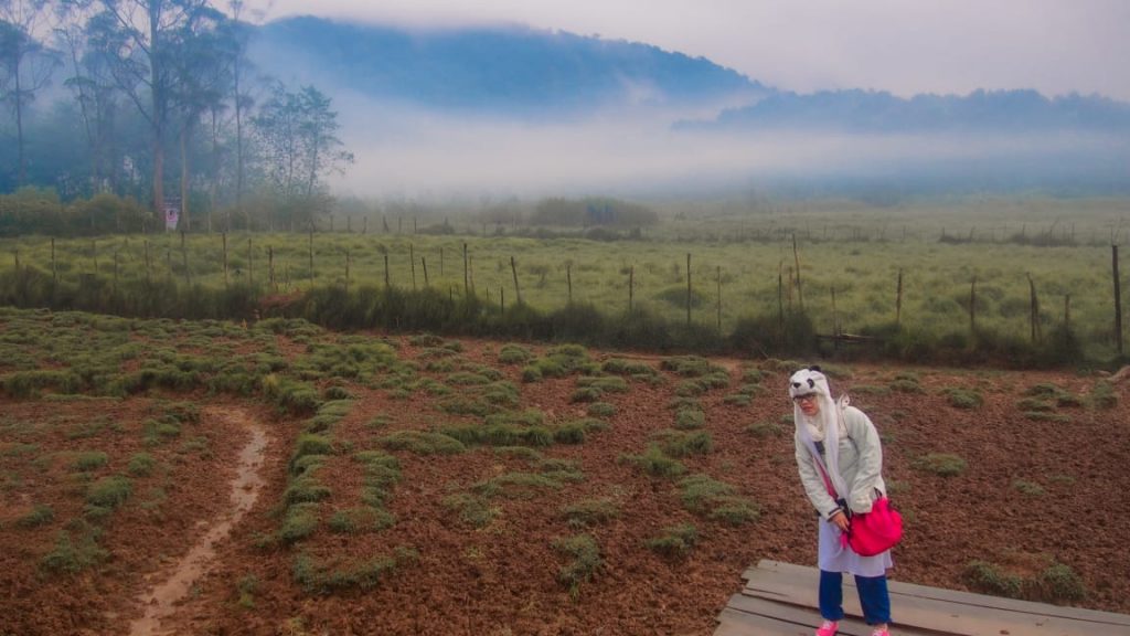 kemping ranca upas