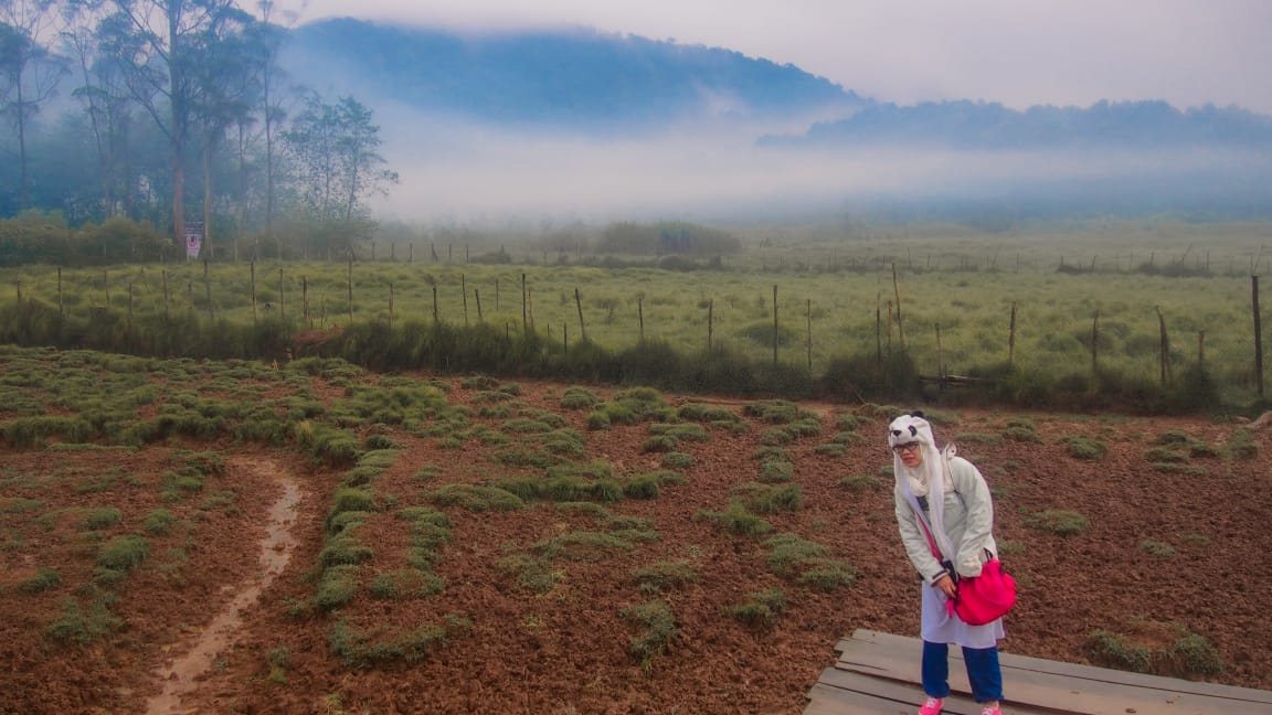 kemping ranca upas
