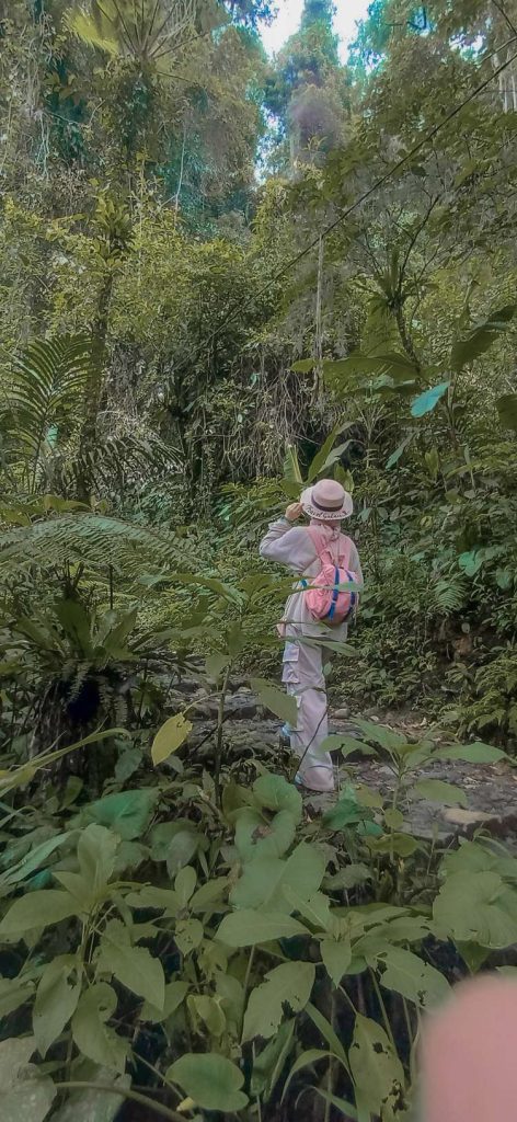 situ gunung rekomendasi wisata sukabumi