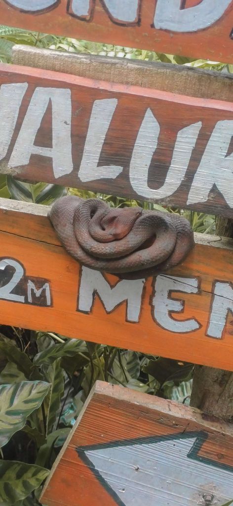 situ gunung rekomendasi wisata sukabumi