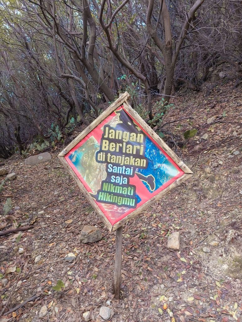 Gunung Papandayan